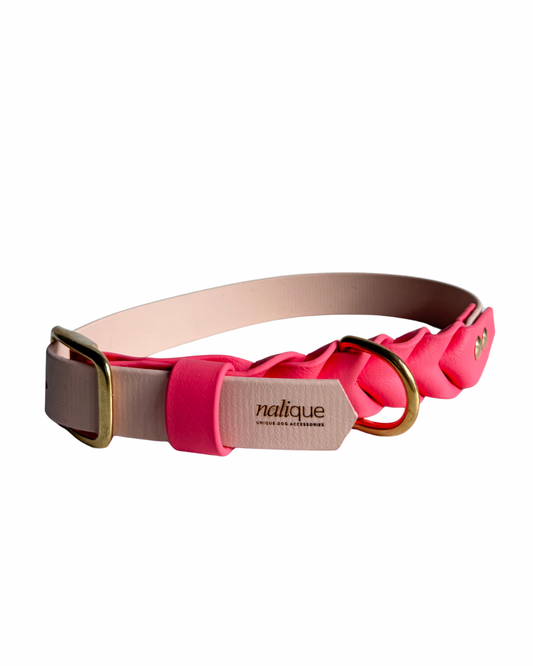 Halsband mit Dornschnalle