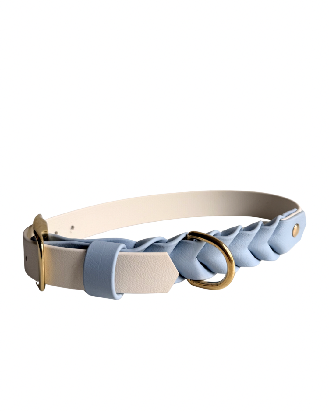 Halsband mit Dornschnalle